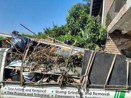  La Junta, CO Junk Removal Services Pros