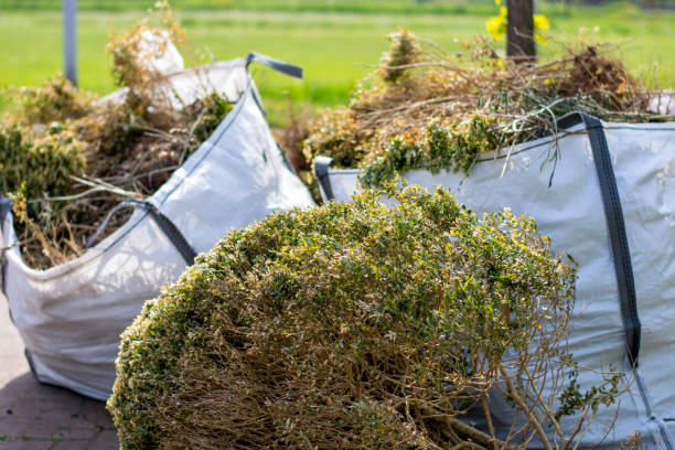 Professional Junk Removal Services in La Junta, CO